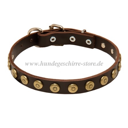 Leather collar
with round rivets