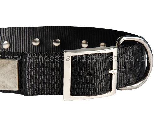 Nylon Hundehalsband, einzigartig