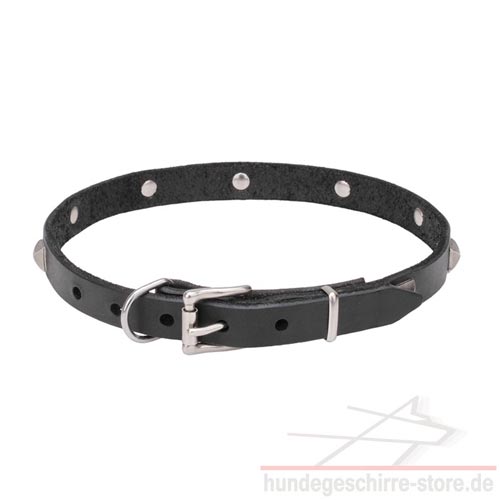 halsband hund genietet silber hundeshop