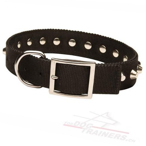 Hunde Nylonhalsband mit Spikes kaufen