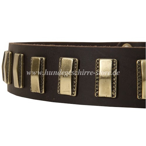 Leder Halsband mit
Messing Platten