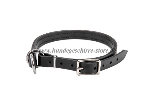 lederhalsband leder erziehung