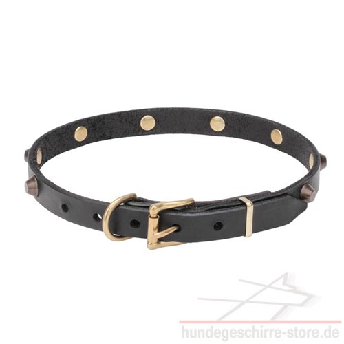 nietenhalsband hund Messing Kegel hundeshop