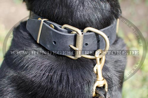 leder halsband sennenhund kaufen