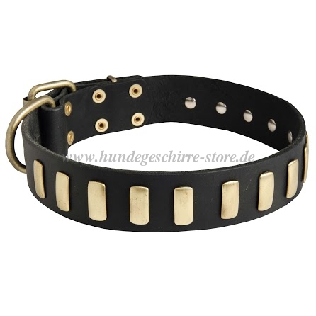 laika Halsband mit Platten