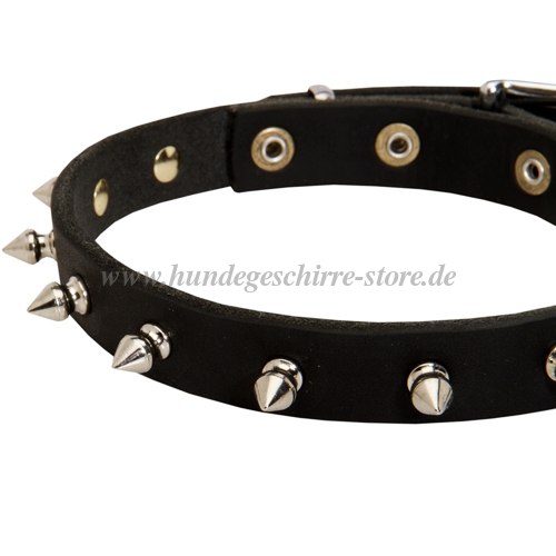 Leder Halsband mit Reihe
von Nickel-Spikes