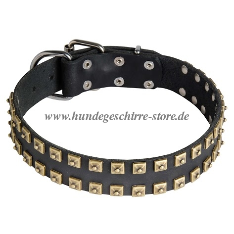 Leder Halsband mit
Quadratnieten