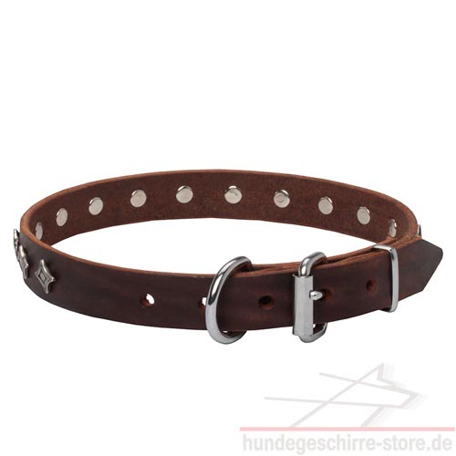 narrow collar custom made luxury dog accessories