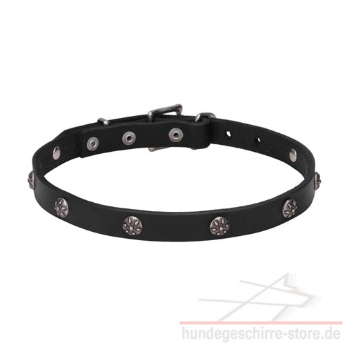 halsband hund genietet blumen eingravierung hundeshop