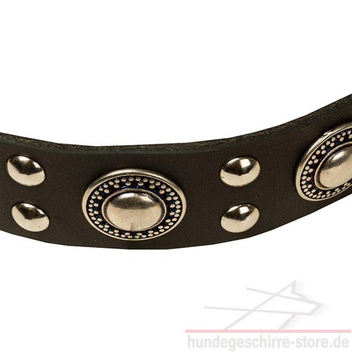 Buy leather dog collars new design