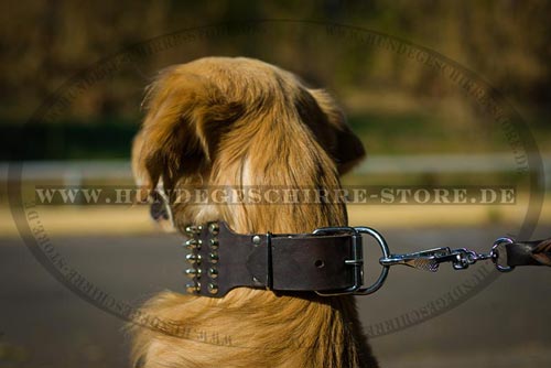 Leder Hundehalsband, bequem