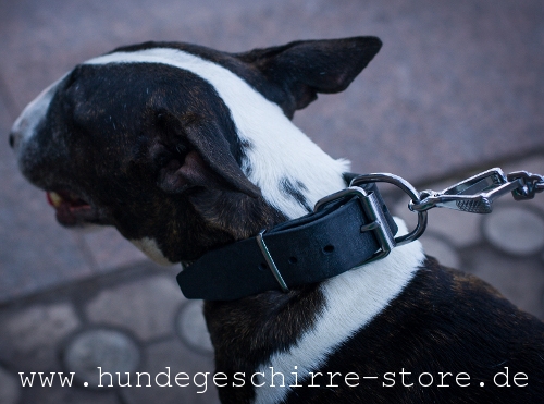 hochwertiges Leder Hundehalsband