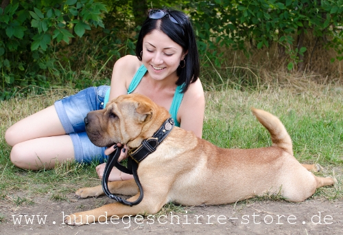 prächtiges Hundehalsband aus Leder