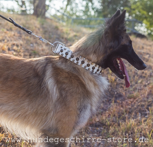 Leder Hundehalsband mit Designer-Dekor