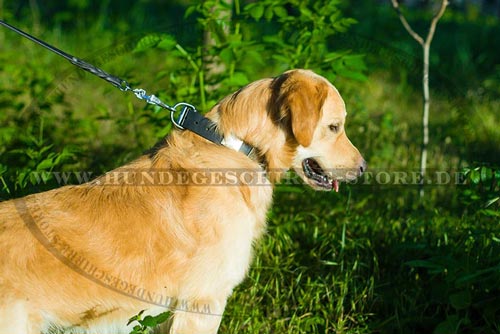 Leder Hundehalsband, perfekte Handbearbeitung