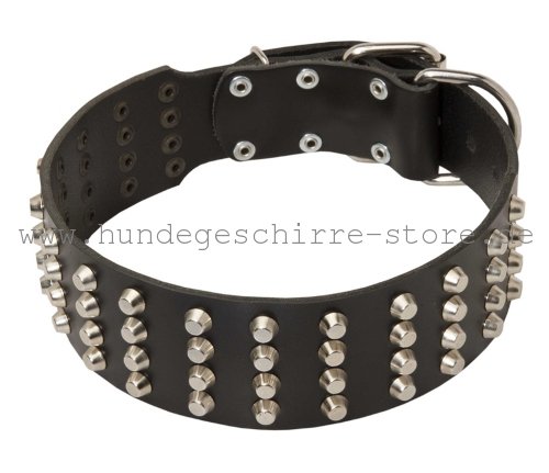 starkes Leder Halsband