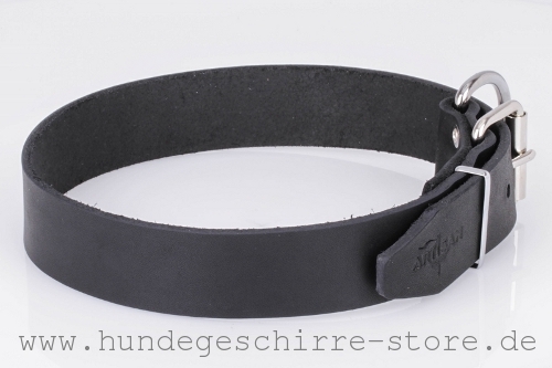  Hundehalsband Leder, stilvoll