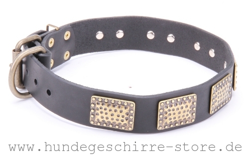 exklusives Hundehalsband aus Leder