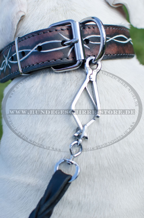 Leder Hundehalsband, abriebfest