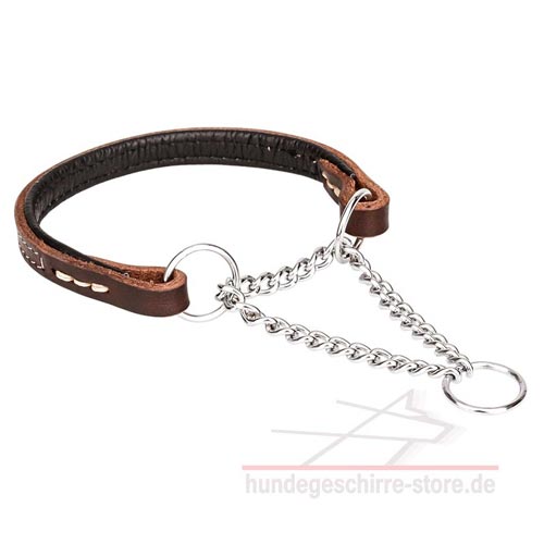 sicheres Hundehalsband Leder