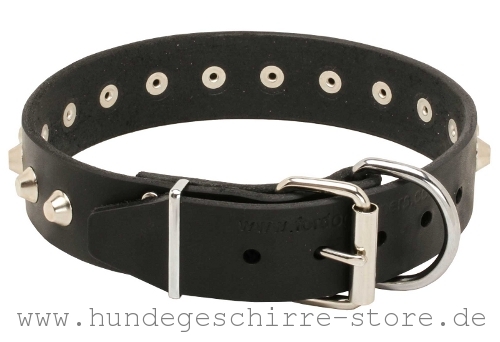 Leder Hundehalsband, prächtig