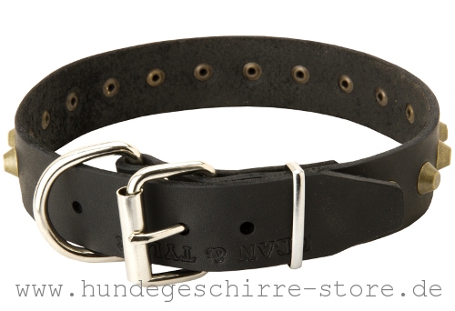 Leder Hundehalsband, solid