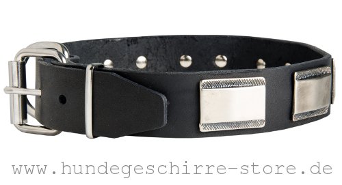 Leder Halsband, einzigartig