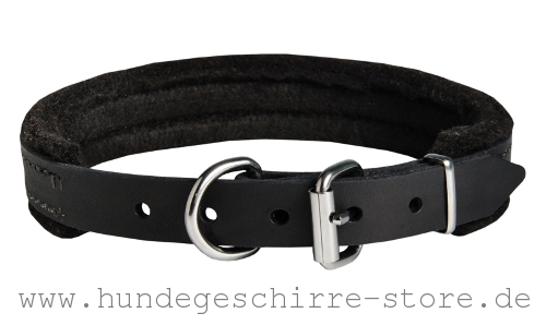  Hundehalsband Leder, sicher