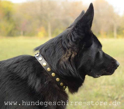 Schmales Lederhalsband 25 mm für Hunde