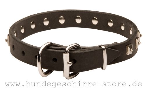 Leder Hundehalsband, hochwertig