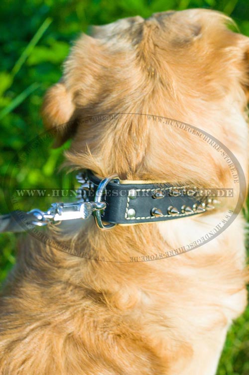  Hundehalsband Leder, wertvoll