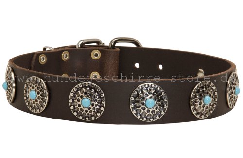 Leder Hundehalsband, originell