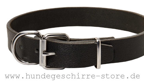 Hundehalsband aus Leder mit massiver Schnalle