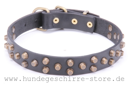 Leder Hundehalsband, abriebfest