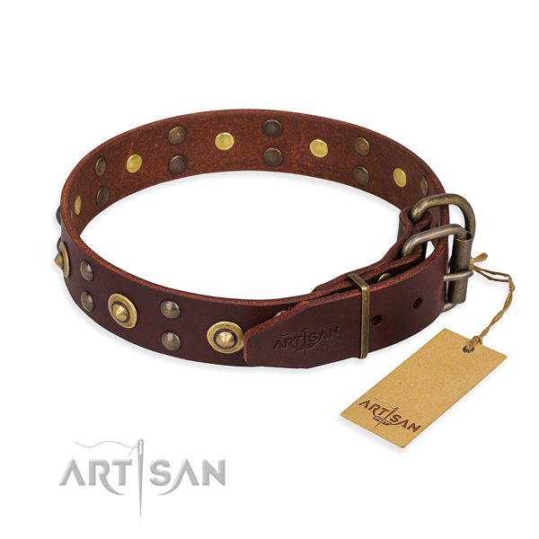 praktisches Leder Hundehalsband