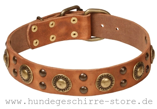 Hundehalsband Leder, stilvoll