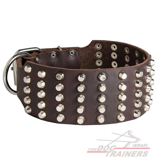 Leder Hundehalsband, wertvoll