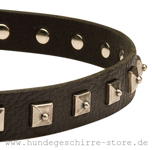 Leder Hundehalsband, modisch