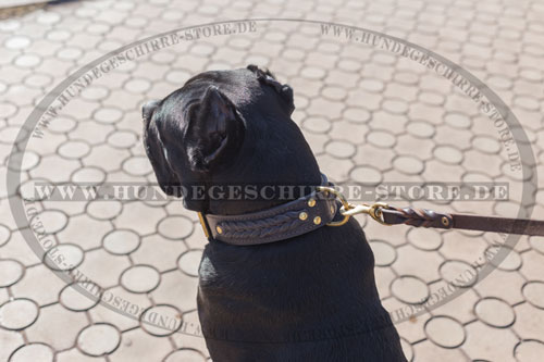 praktisches Hundehalsband Leder 