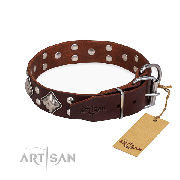 Hundehalsband Leder, praktisch