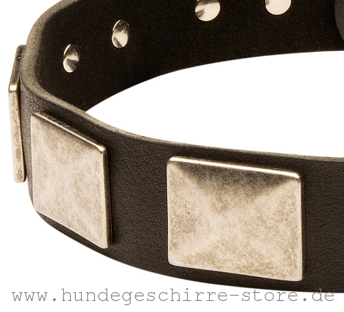 Hundehalsband Leder mit bearbeiteten Kanten