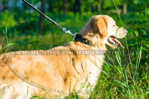 Leder Hundehalsband, Deisgner Handarbeit