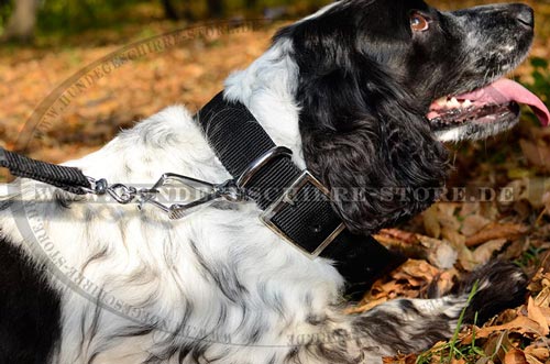 Nylon Hundehalsband, breit