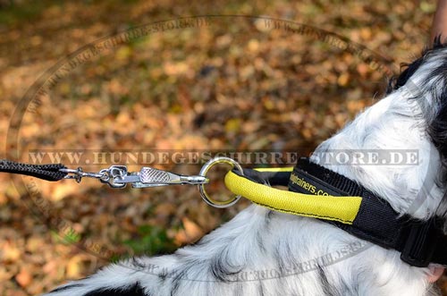 Hundehalsband Nylon, wasserdicht