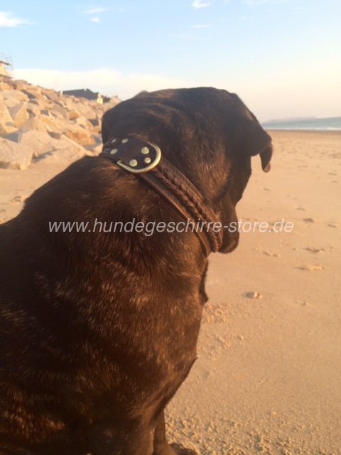 Mastiff halsband leder geflochten berlin