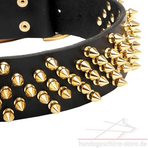 lederhalsband hund breit messing spikes trendig