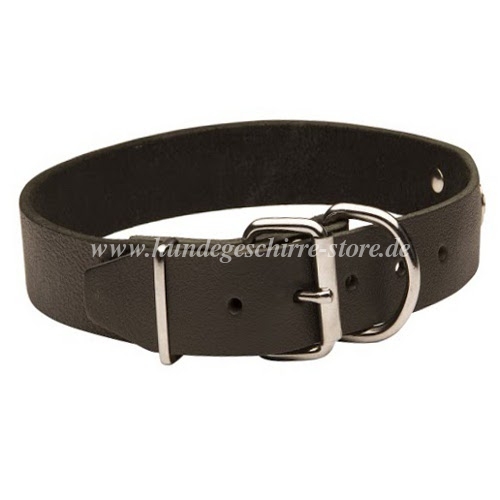 Leather dog collar with name tag