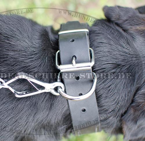 Hundehalsband fuer Berghund optimal Leder mit Polsterung