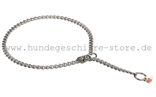 Stahl Halsband mit Fixator