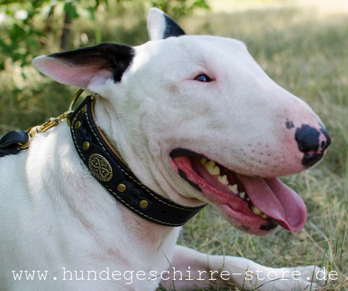 Exklusives Hundehalsband mit  Nappa-Polsterung und Dekor für Hundetraining